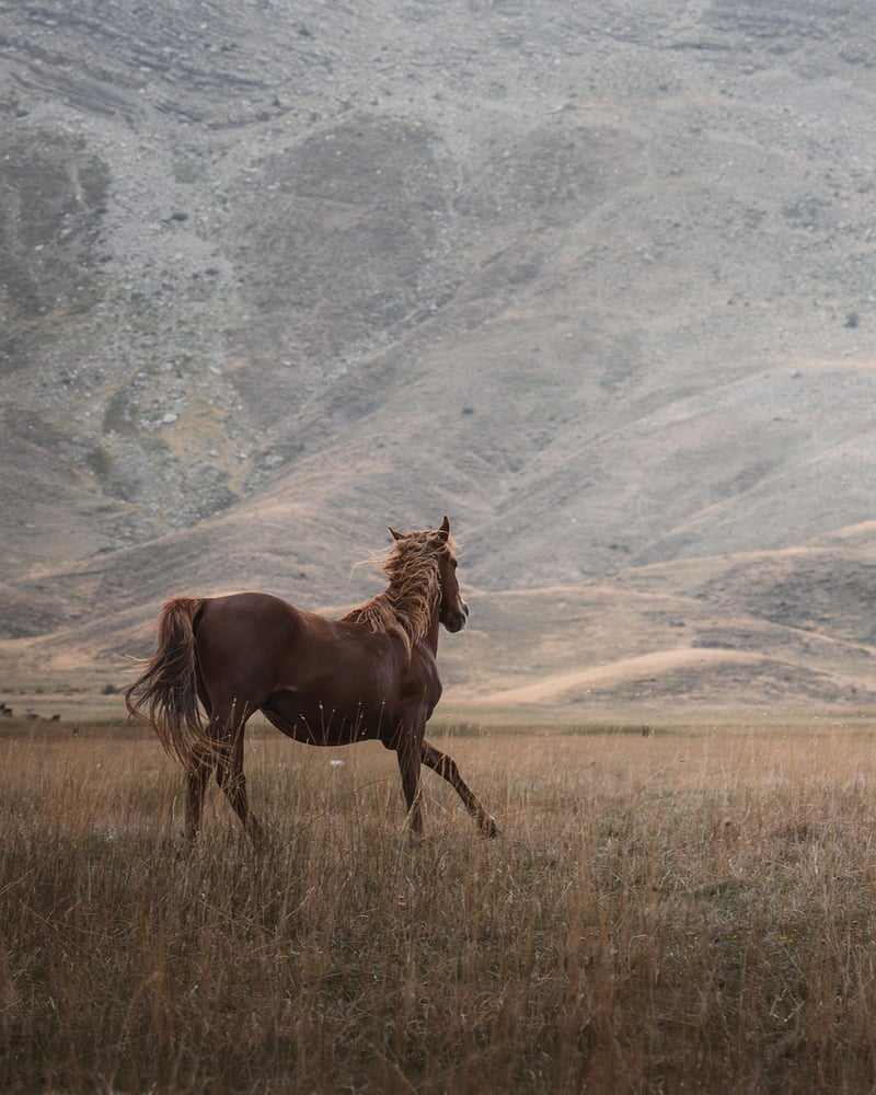 Breathtaking Photos